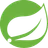 Spring Boot logo